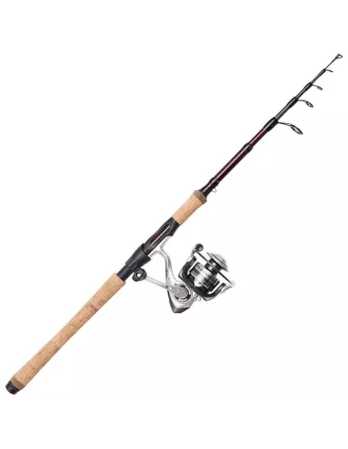 Ensemble spinning Telescopica Impressa 7-28gr 2m70 Dam - DAM