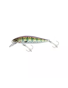 Product Categories - Carnassiers Shop