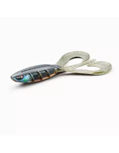Product Categories - Carnassiers Shop