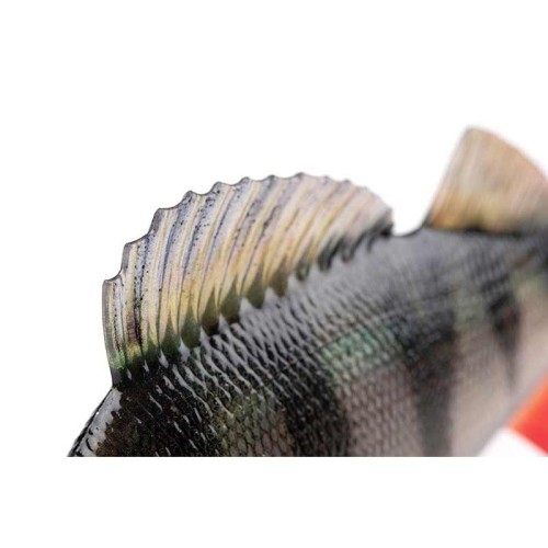 Leurre souple armé Replicant Ultra-Realistic Perch Fox Rage