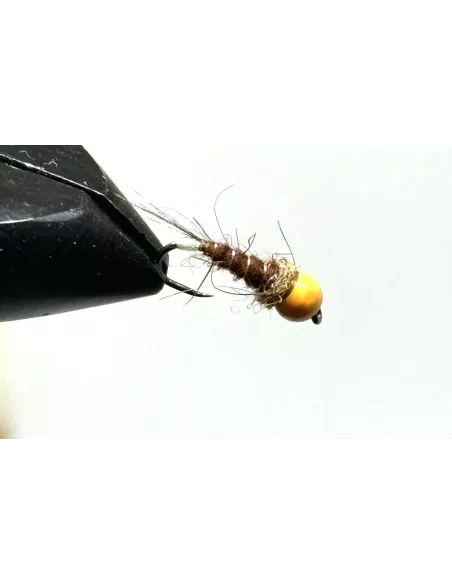 Ninfa Tungsteno NW 17 - Carnassiers-Shop