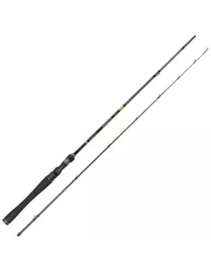 Canne casting X1 max 220gr 2m40 Favorite