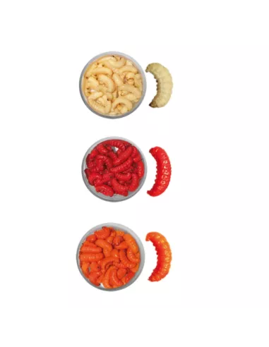 Schachtel mit mumifizierten Mottenlarven - Carnassiers-Shop