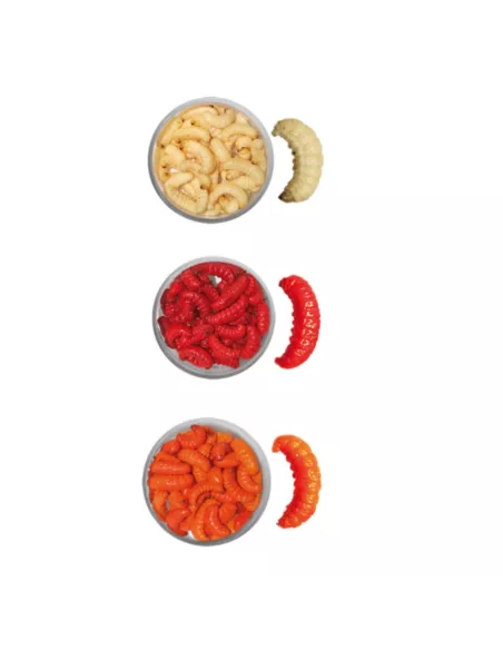 Schachtel mit mumifizierten Mottenlarven - Carnassiers-Shop