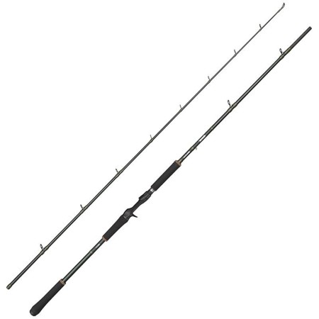 Canne casting Beast X2  40-140gr 842XHP Abu garcia