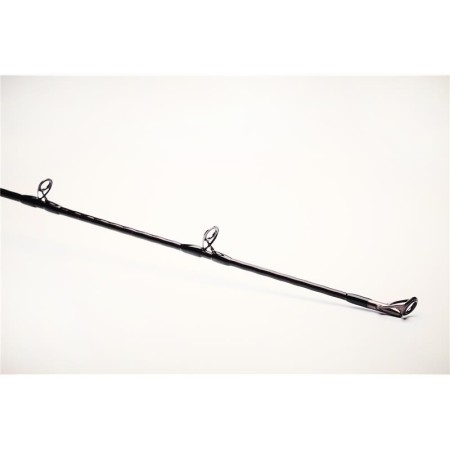 Canne Casting Alpha SG6 Monster Bait 200-600gr 2m59 Savage gear