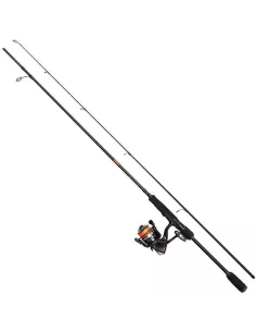 Ensemble spinning Fire Wave XP DAM