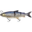Leurre souple 3D Line Thru Whitefish 17cm Savage Gear