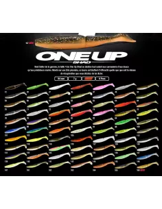 Packs - Carnassiers Shop 2