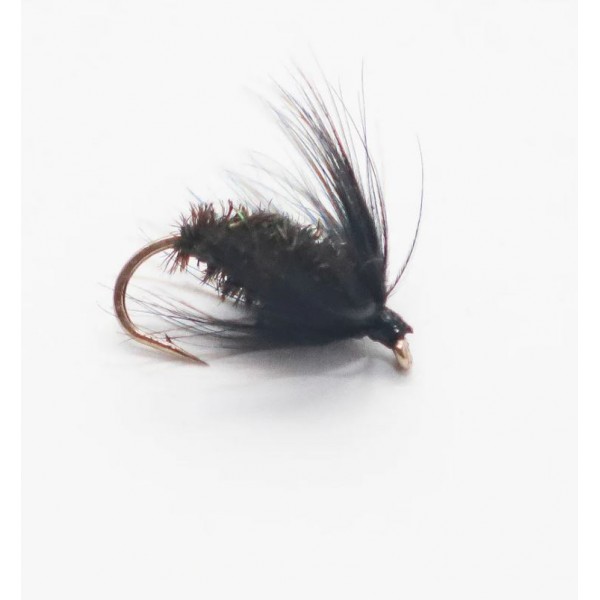 Mouche noyée Black and Peacock Spider cs2