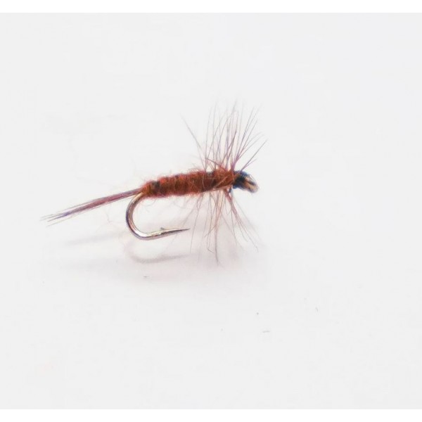 Mouche sèche Brown Midge cs79