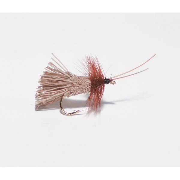 Mouche sèche Goddard sedge natural cs20