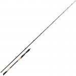 Canne Casting TR Mega Swim up to 400gr 2m75 Fox Rage