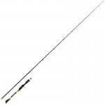 Canne Casting TR Power Swim up to 200gr 2m40 Fox Rage