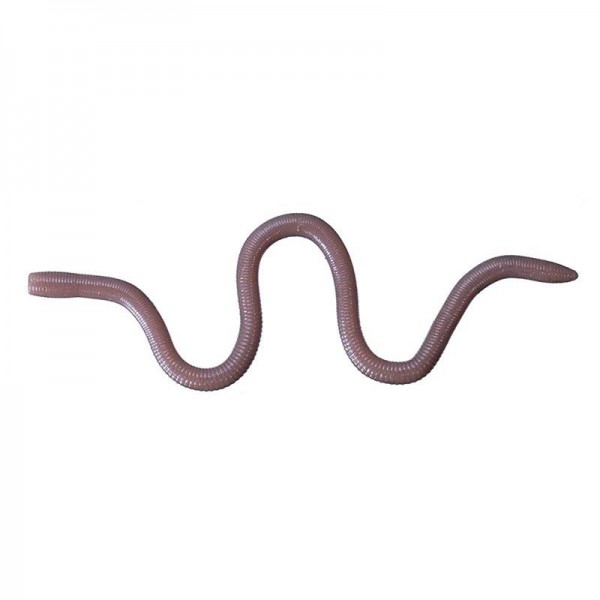 Leurre souple MMZ medium 10cm O.S.P
