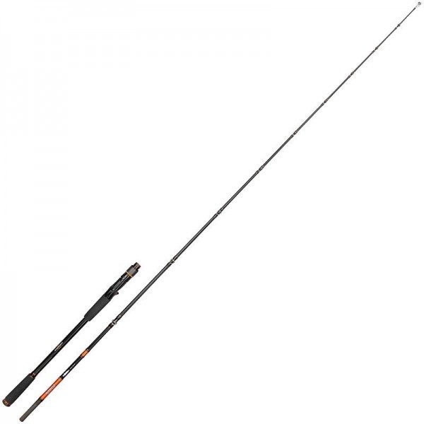 Canne Casting Speciz 2.0 Pike Game 50-250gr Sakura