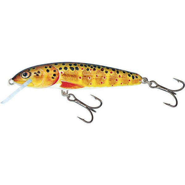 Leurre flottant Minnow 5cm SALMO