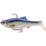 Leurre Souple armé 3D Roach Rtf FS 12cm Savage Gear