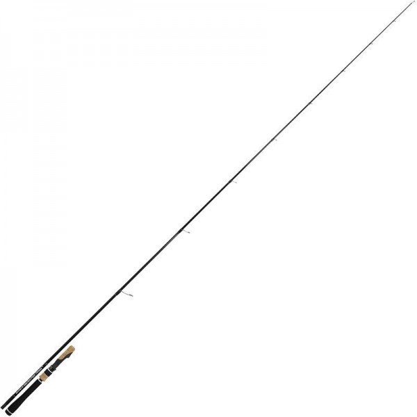 Canne spinning Injection Fast Finesse M TENRYU